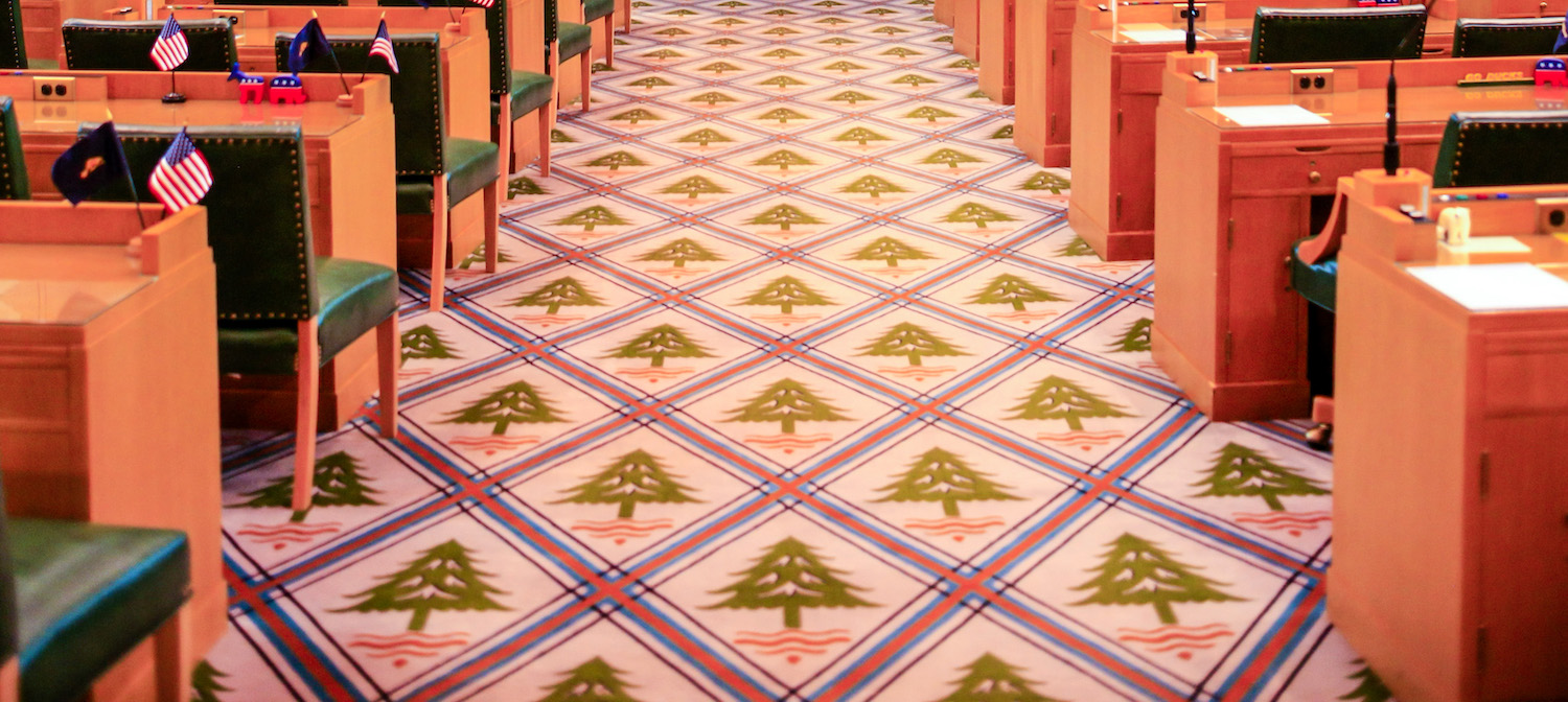 The center aisle of the Oregon House Chamber.