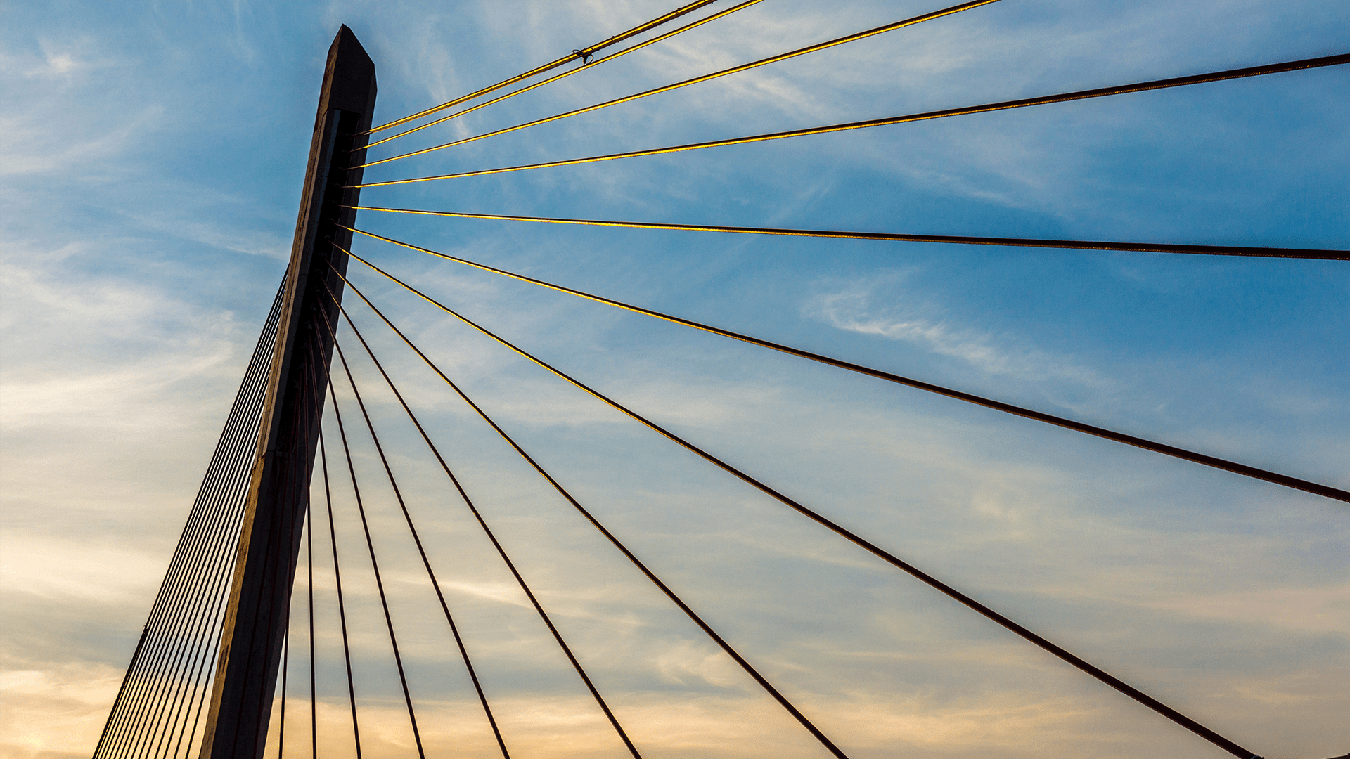 The Delta Ponds Pedestrian Bridge in Eugene.