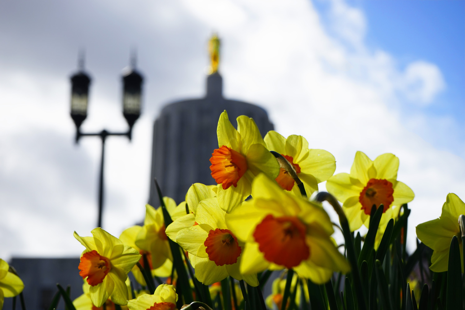 Spring at the Oregon State Capitol.