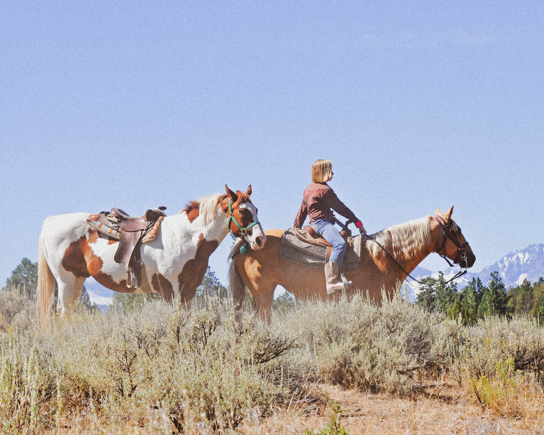 A child rides horses in Central Oregon.